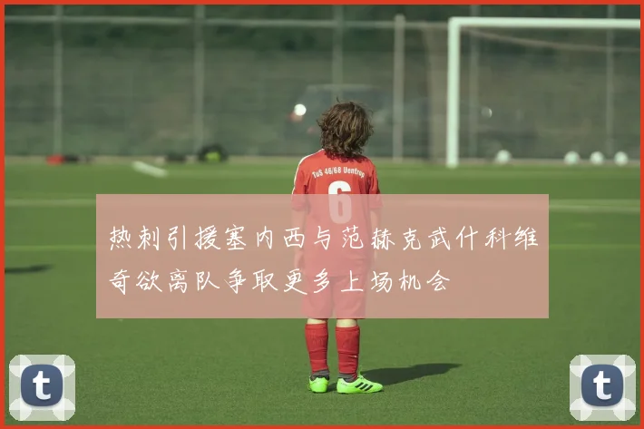 热刺引援塞内西与范赫克武什科维奇欲离队争取更多上场机会