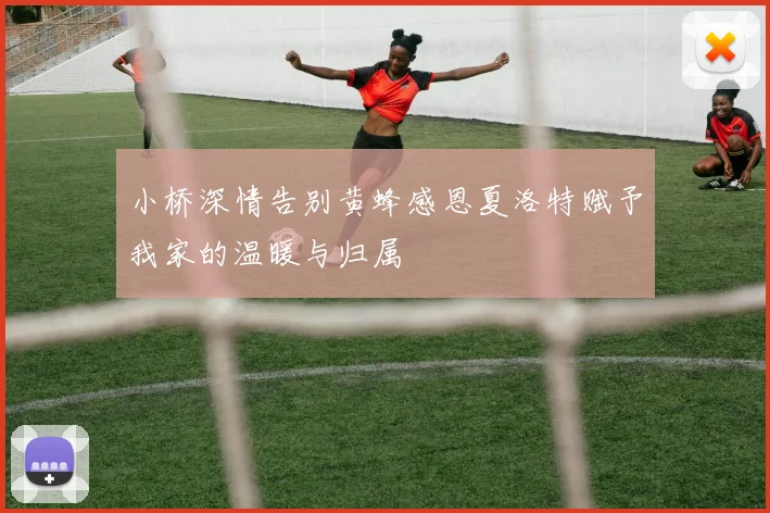 小桥深情告别黄蜂感恩夏洛特赋予我家的温暖与归属